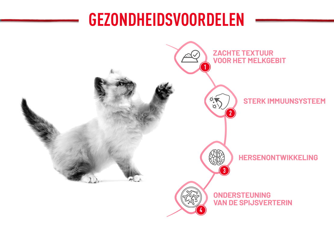 Royal Canin Kitten kattenvoer
